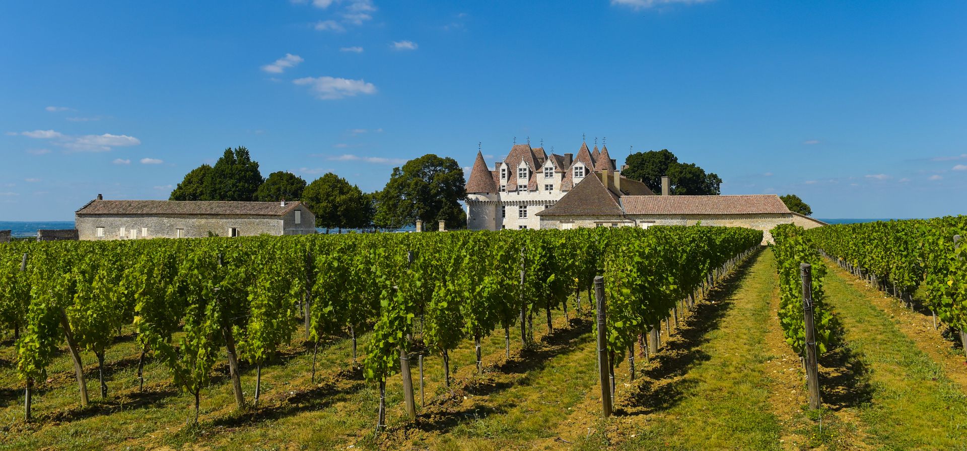 Dordogne, wijn en Bordeaux, foto 8