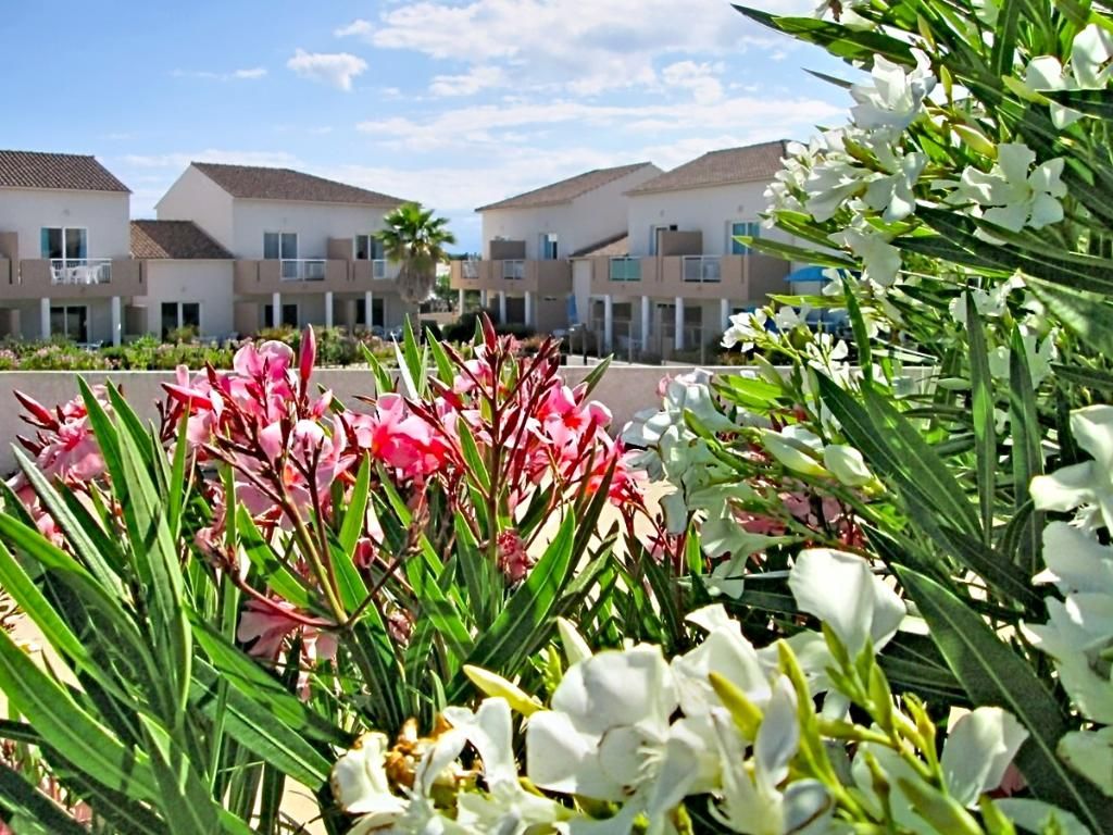 Les Hauts du Maquis, foto 13