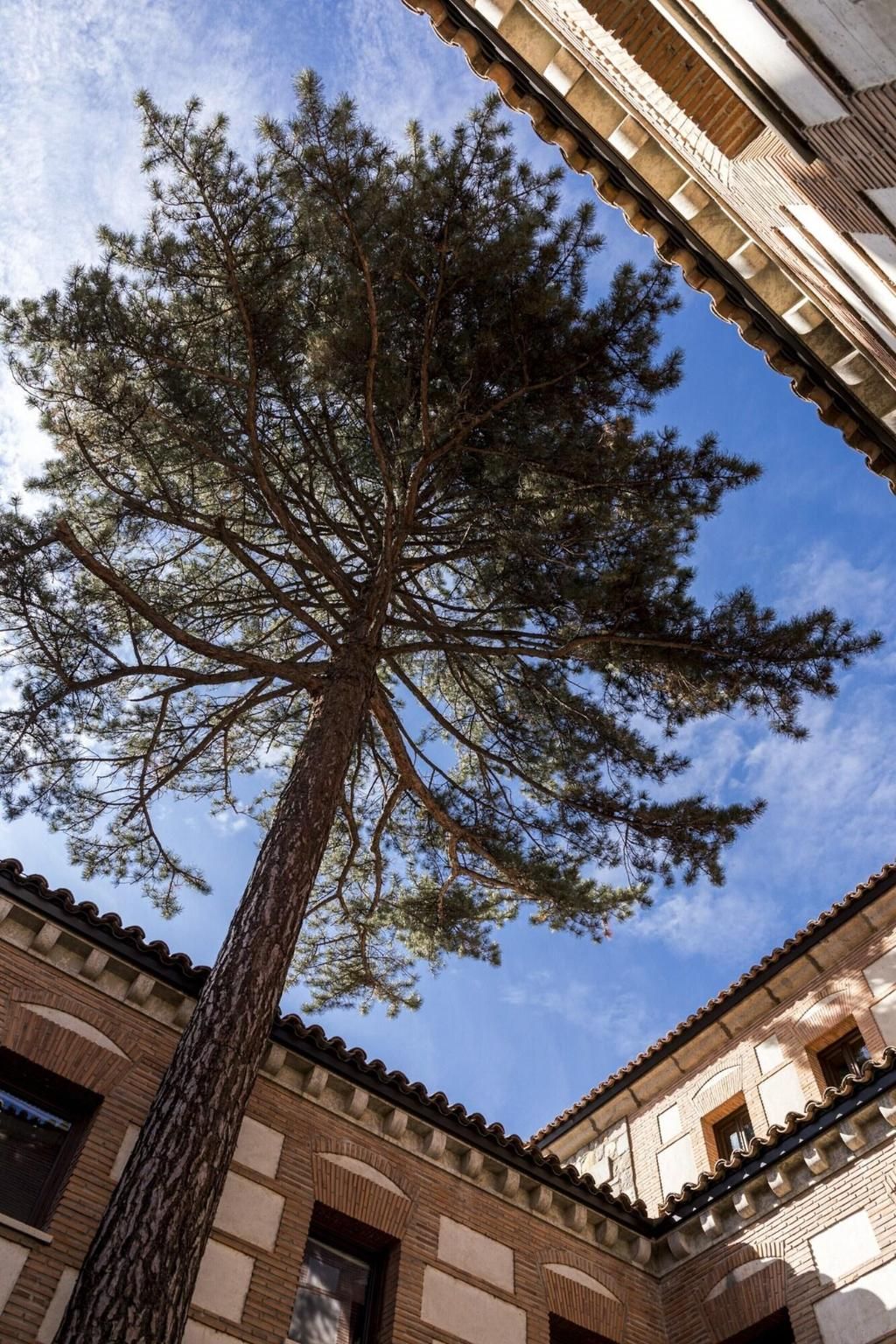 Parador de Ávila, foto 3