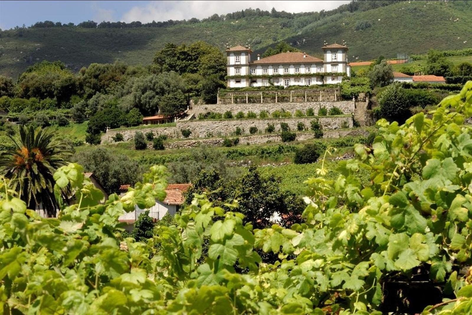 Fly-drive Wine & Dine in solares, foto 12