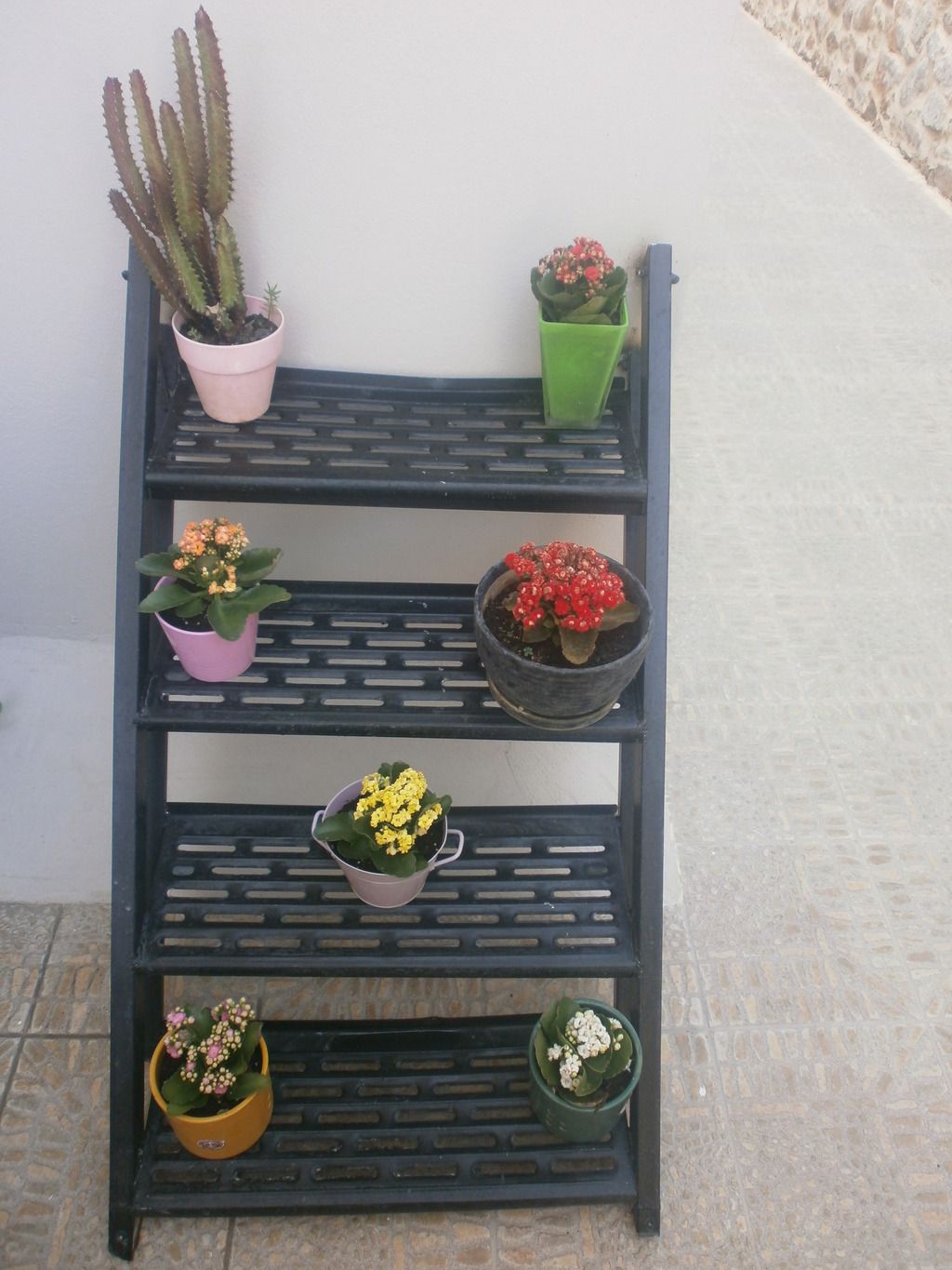 Antigoni, foto 12