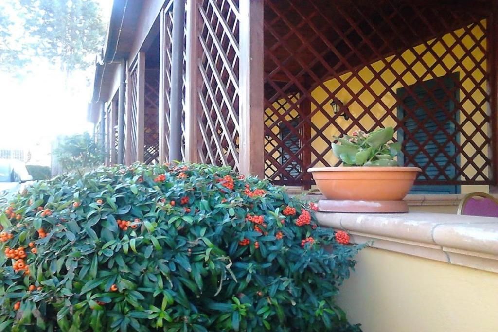 Hotel Federico Ii, foto 7