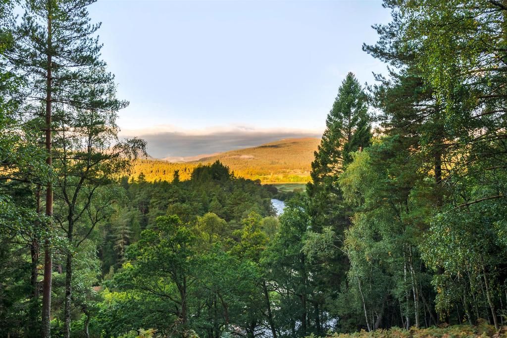 Hilton Grand Vacations Club at Craigendarroch Suites, foto 13