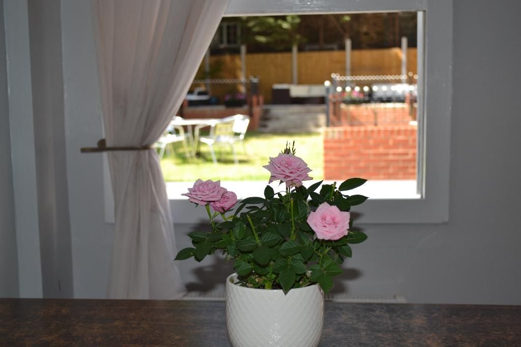 My Place, foto 7