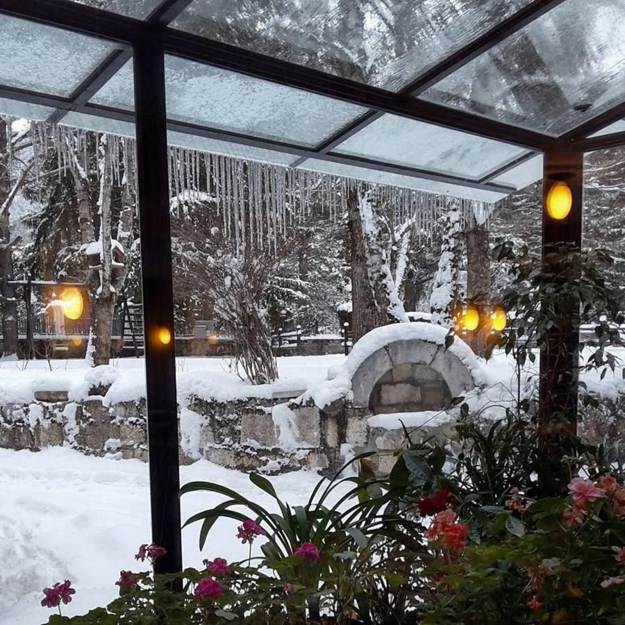 Albergo Il Picchio, foto 15