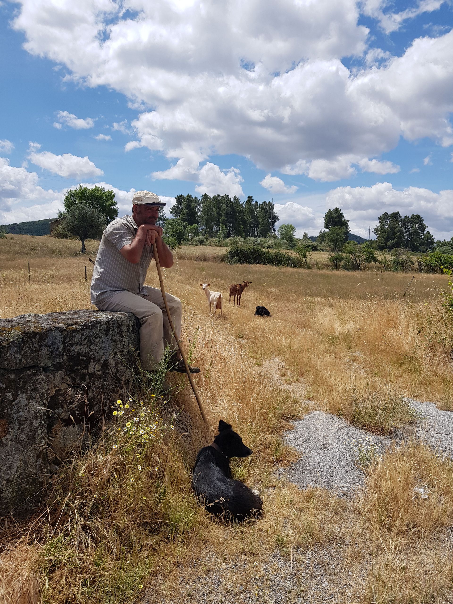 Onthaasten in het hart van Portugal, foto 14