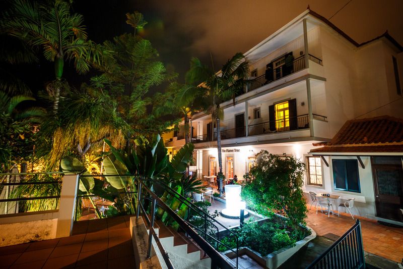 Vila Camacho Guest House, foto 14