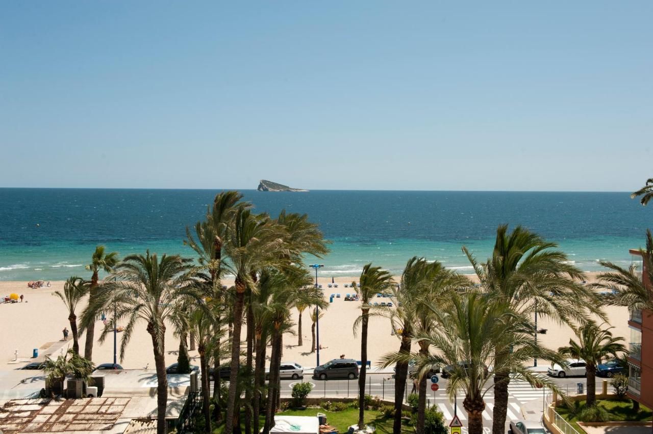 El Palmeral, foto 15
