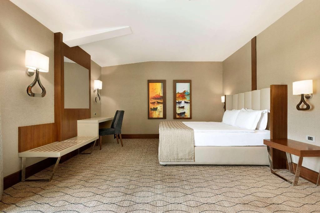 Ramada by Wyndham Sakarya, foto 5
