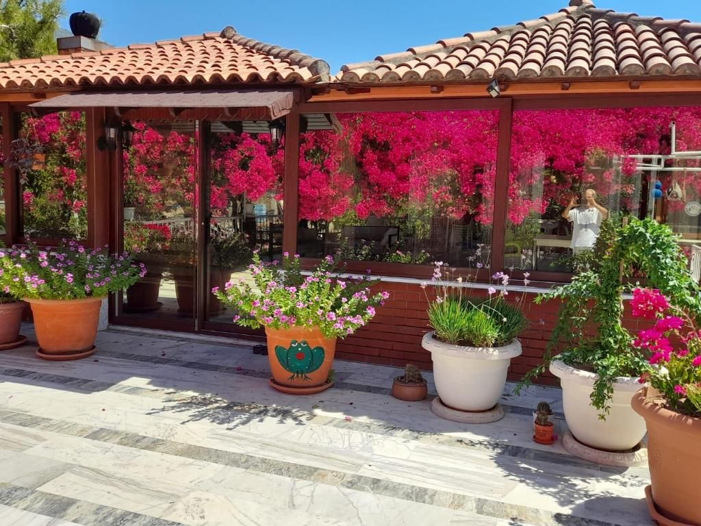 Akdeniz Hotel, foto 13