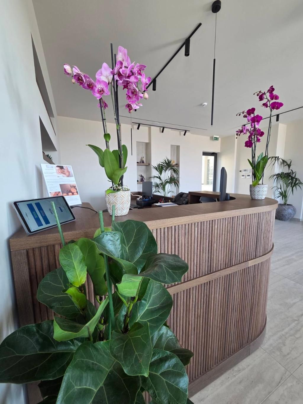 Kefalos View Boutique Hotel & Suites, foto 13