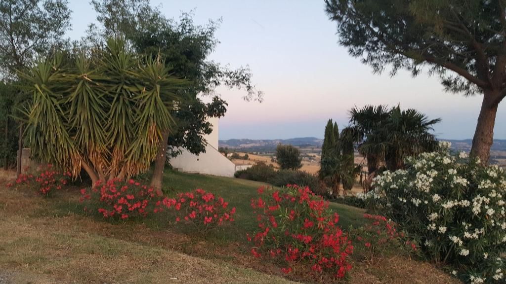 Aia Della Colonna, foto 2