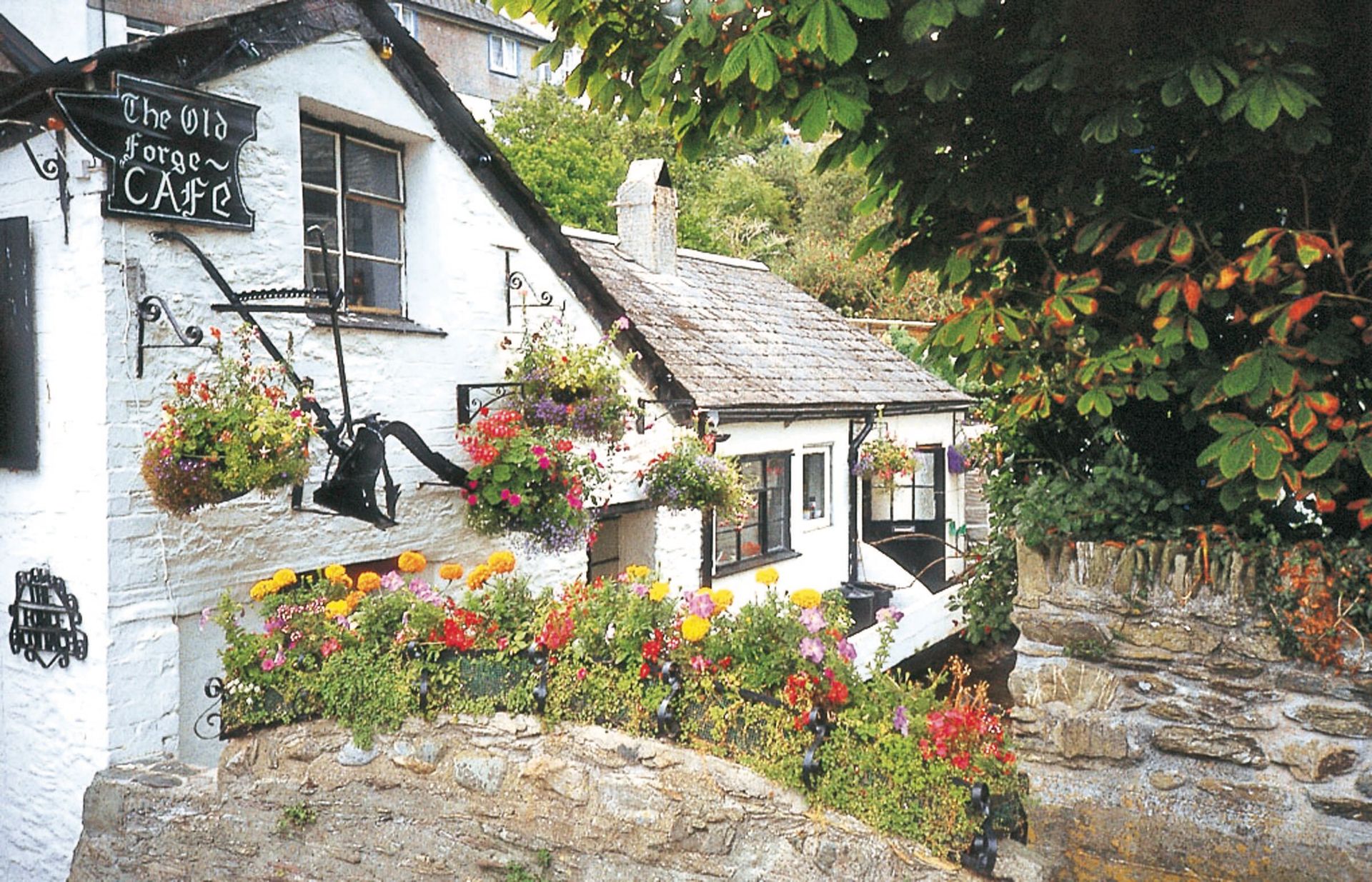 Ontdek Devon en Cornwall, foto 10