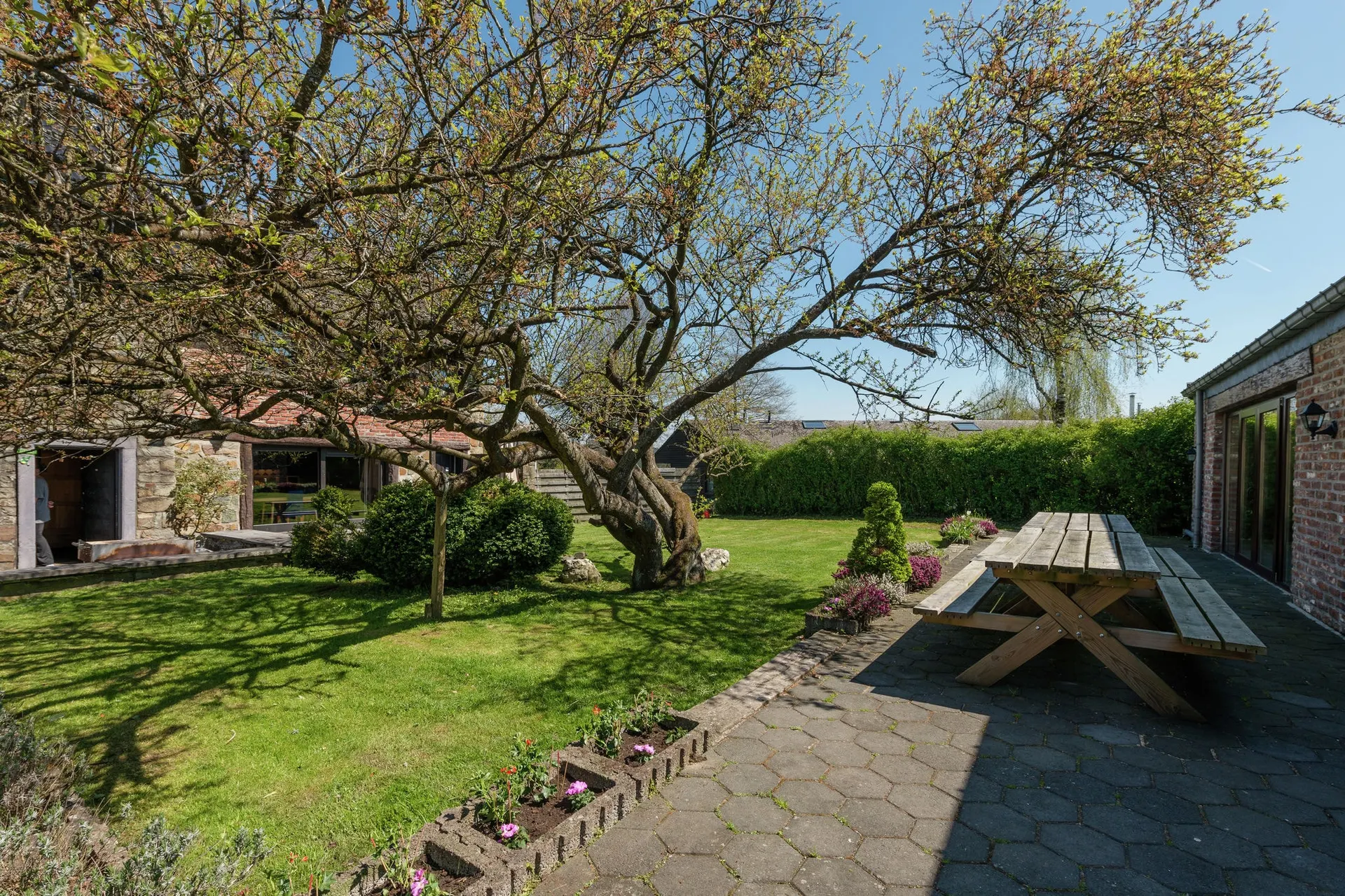 Tuin (zomer)