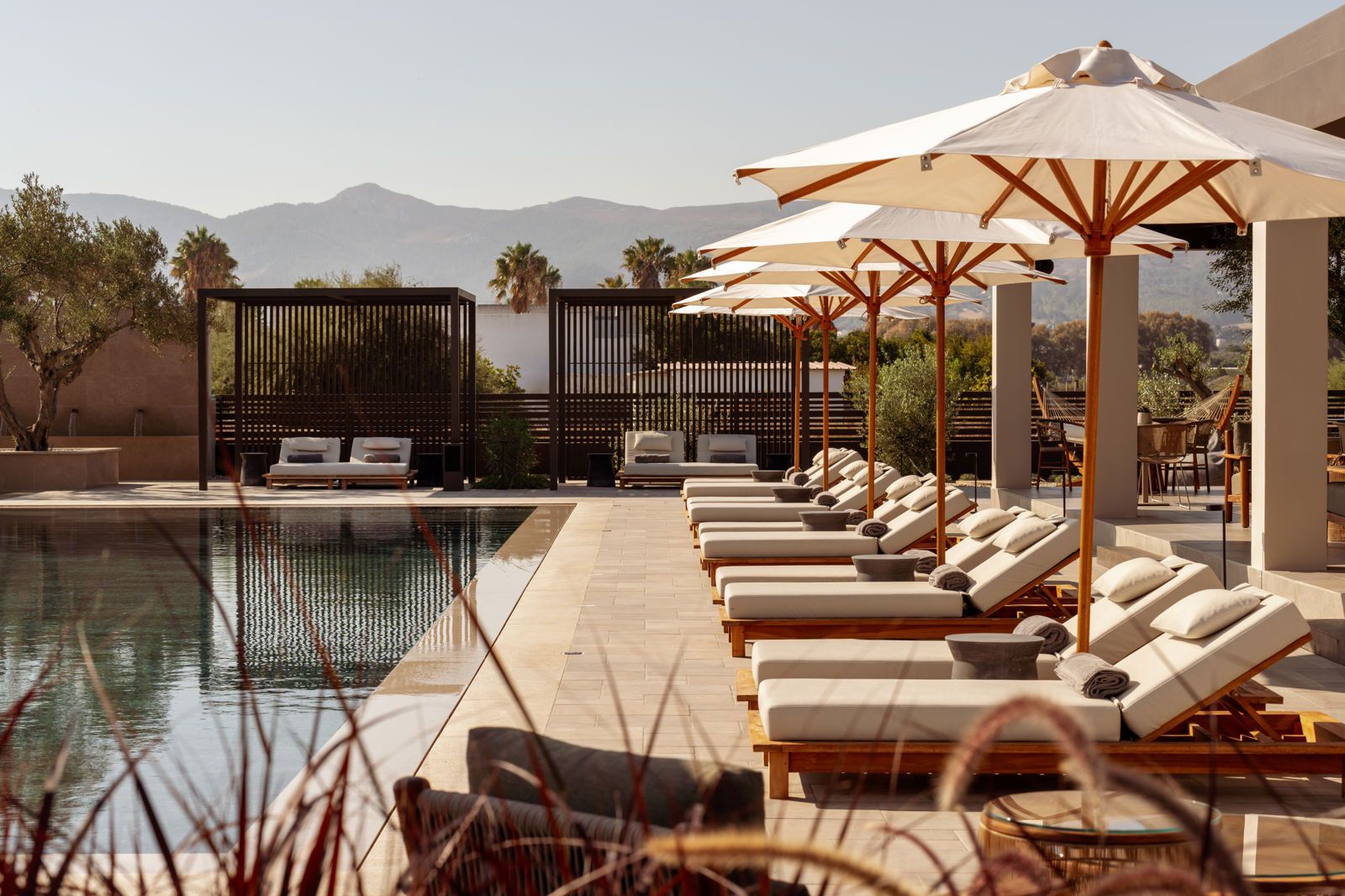 The Ritual, A Wellness Retreat