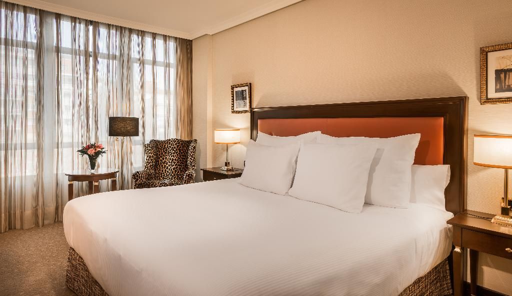 Hyatt Regency Hesperia Madrid, foto 3