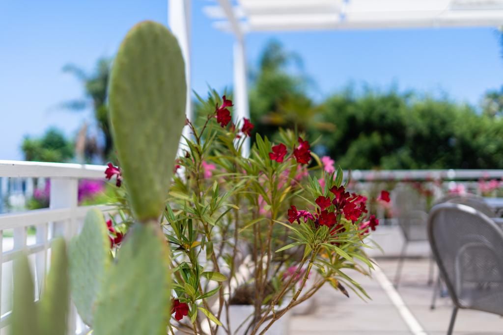 Le Dune Beach Club, foto 7