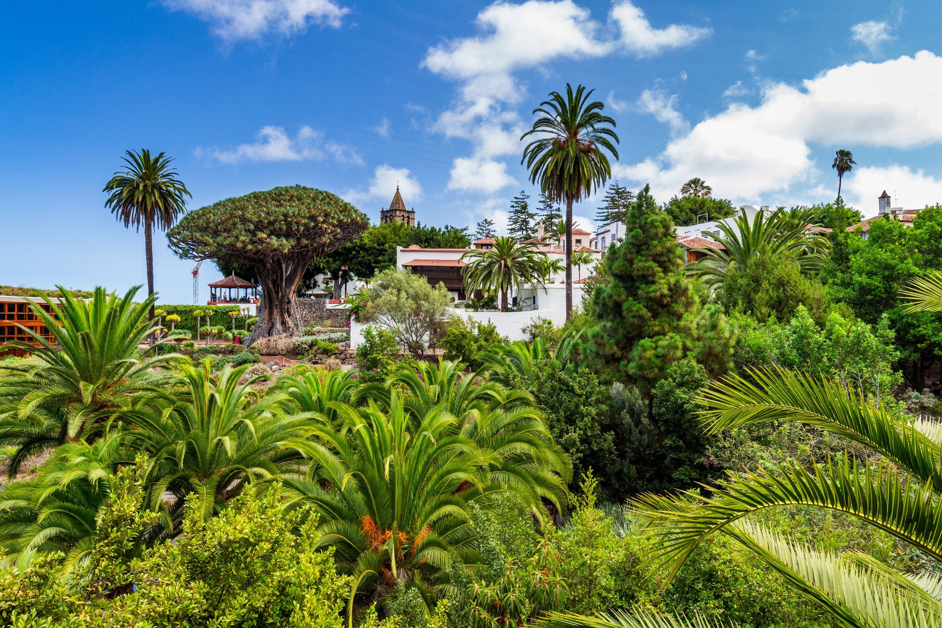 Ontdek Tenerife vanuit Puerto de la Cruz, foto 6