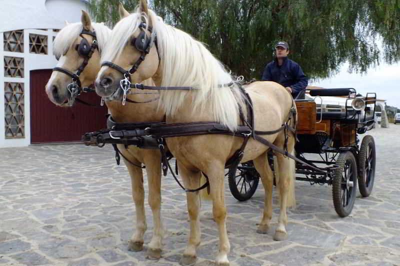 Horta da Moura, foto 3