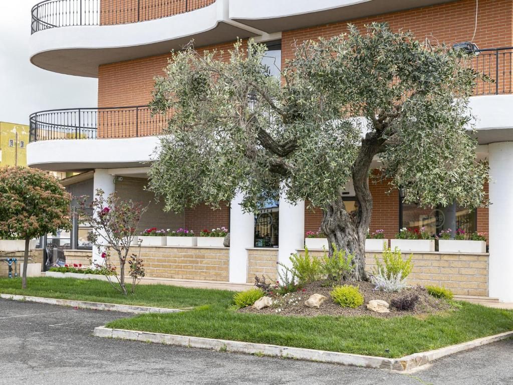 B&B HOTEL Pomezia Cortese, foto 6