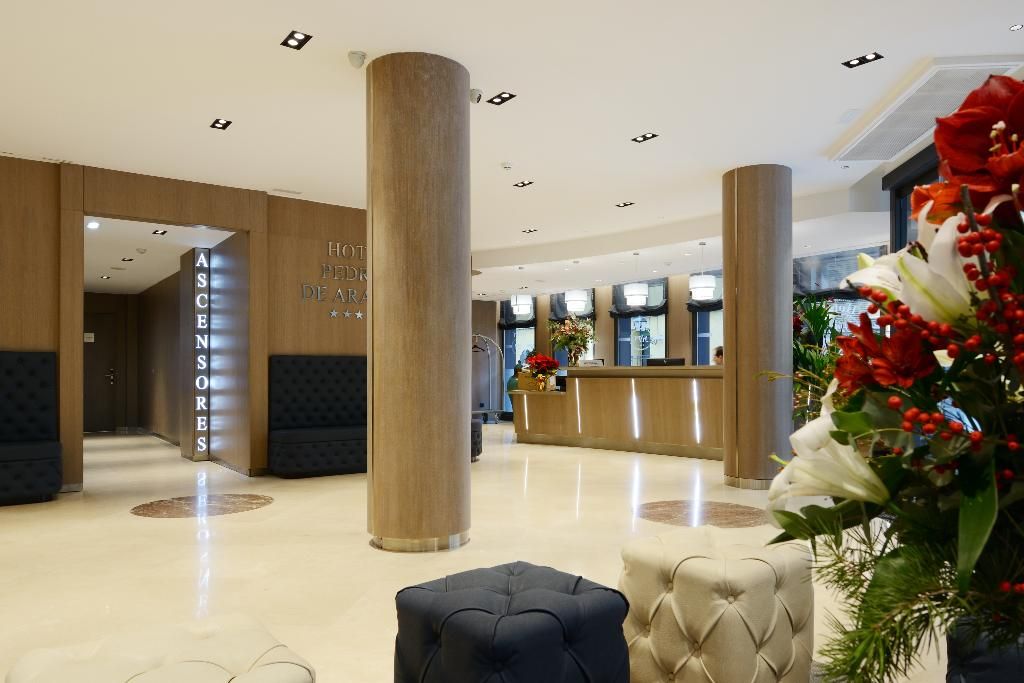 Hotel Pedro I de Aragón, foto 15