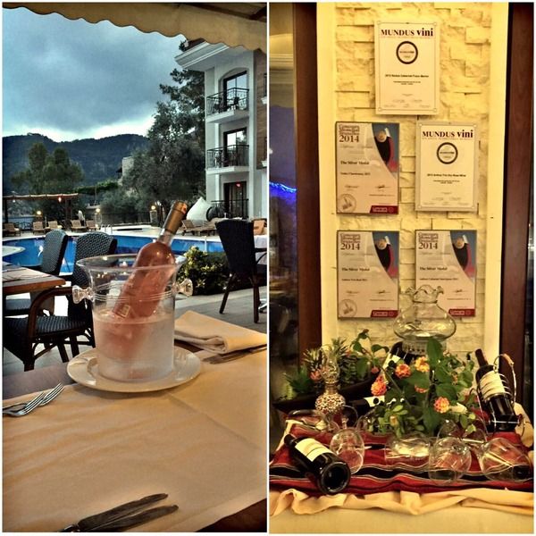 Meril Club Hotels & Spa, foto 8