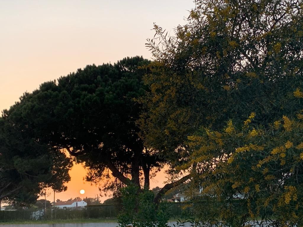 Sublime Sun and Van, By Meco Stays, foto 4