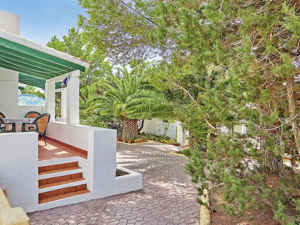 La Palmera, foto 2