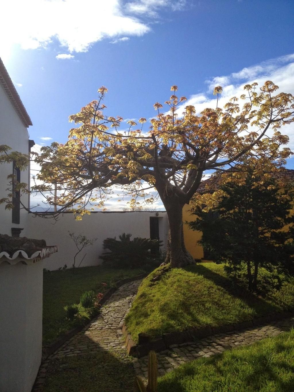 Casa das Calhetas, foto 4