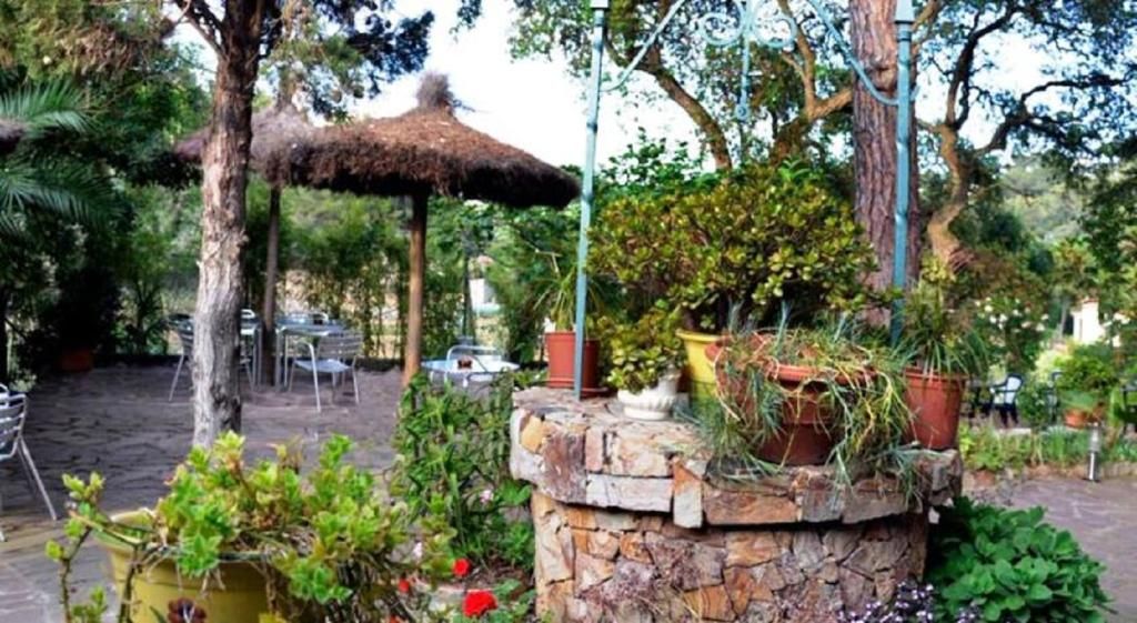 Hostal Magnolia, foto 11