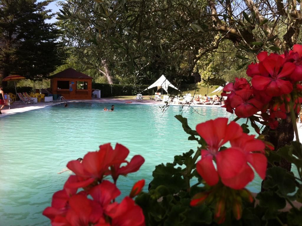 Terme Forlenza Hotel, foto 14