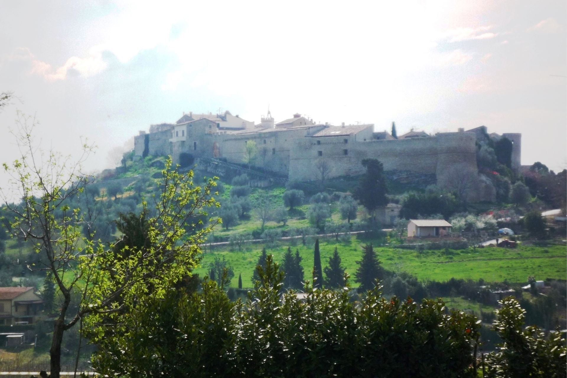 Nonno Tobia, foto 7