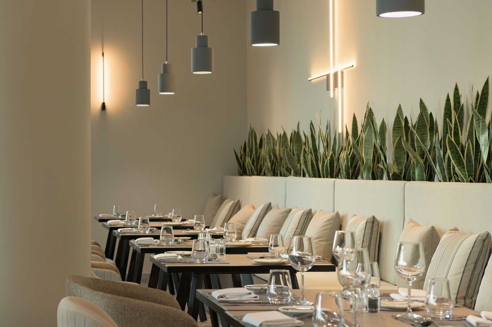 King Jason Zante - Designed for adults by Louis Hotels, foto 6