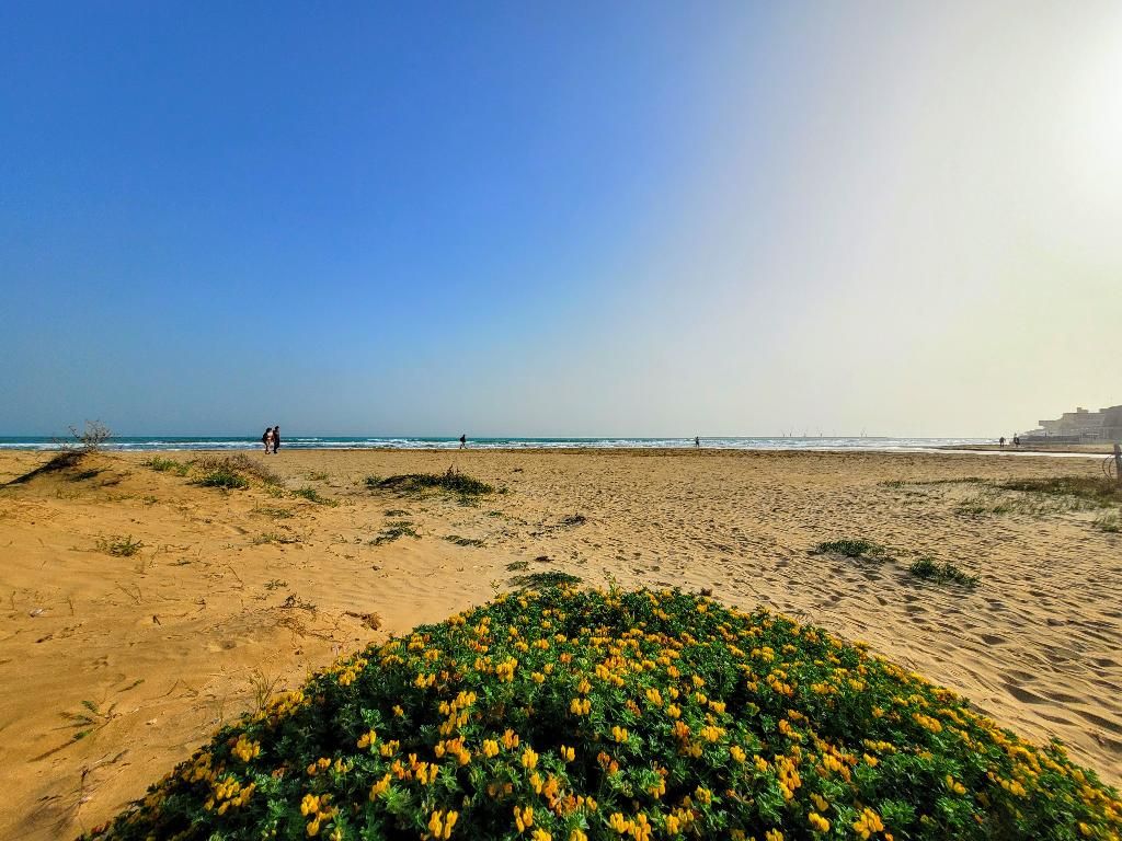 Mare Nostrum Petit Hotel, foto 15
