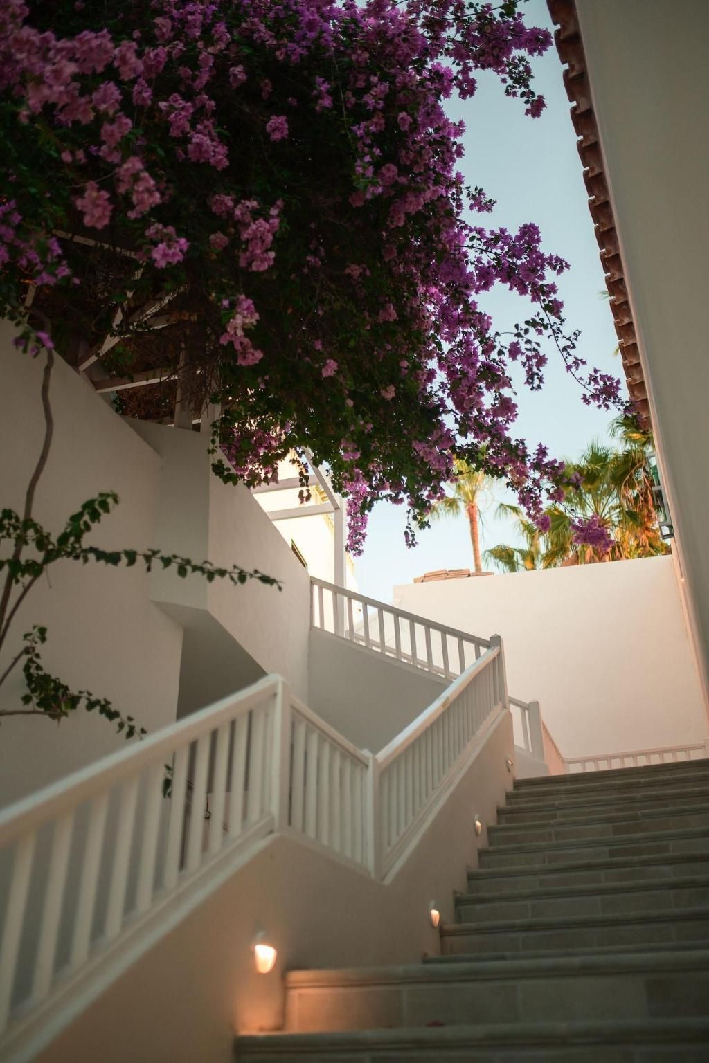 Hotel Estefanía Boutique Suites, foto 9