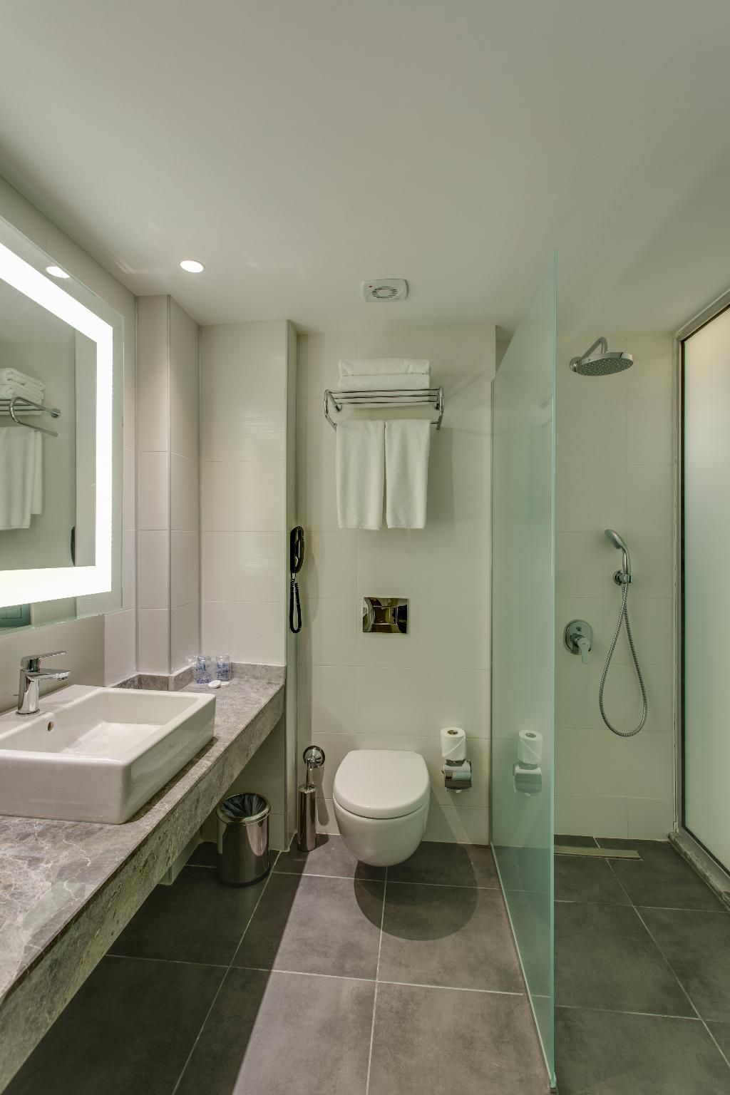 Falcon Hotel, foto 14