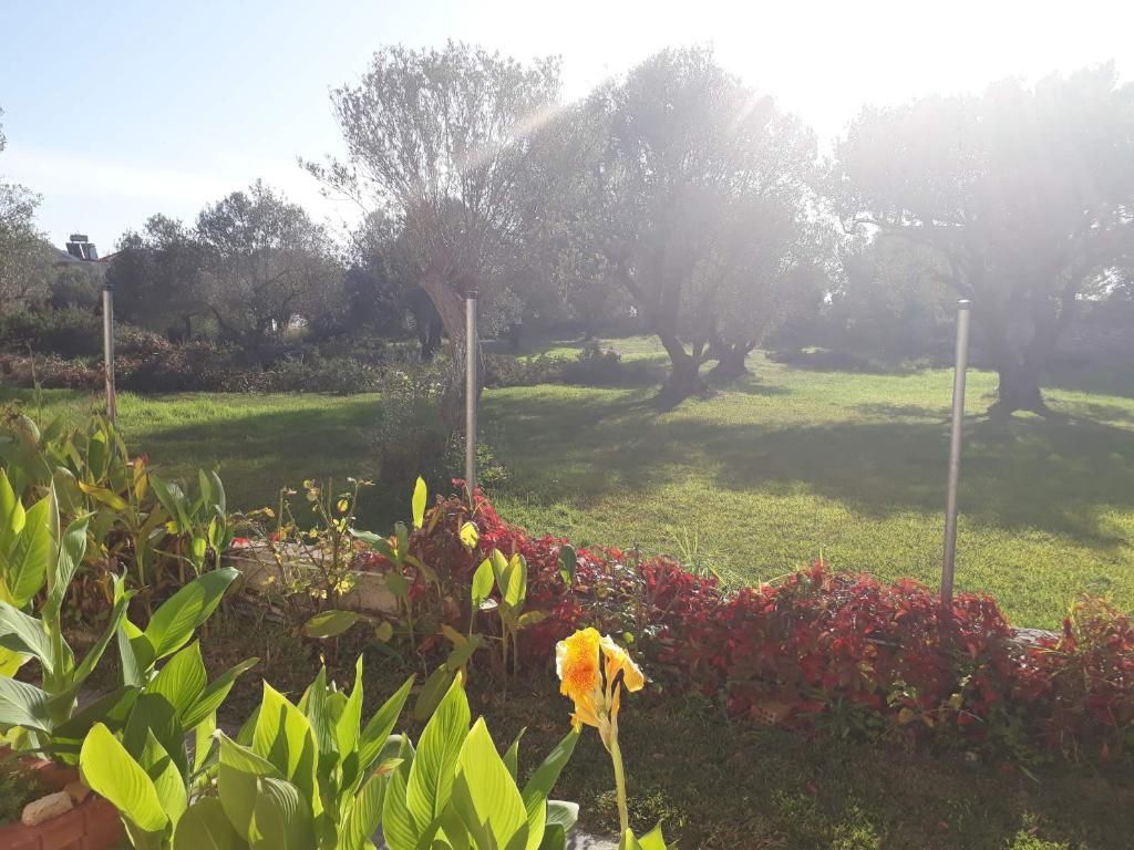 Pythos Studios & Apartments, foto 12