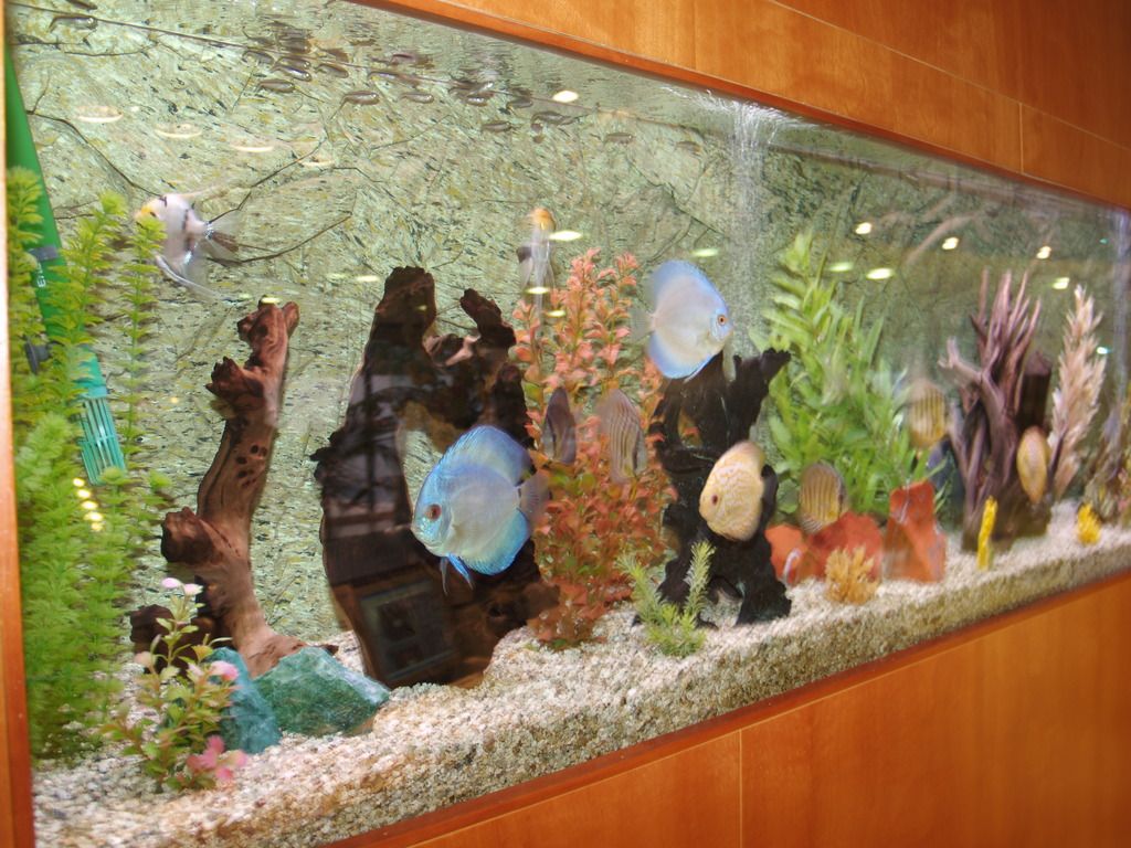 Montemar Maritim, foto 11