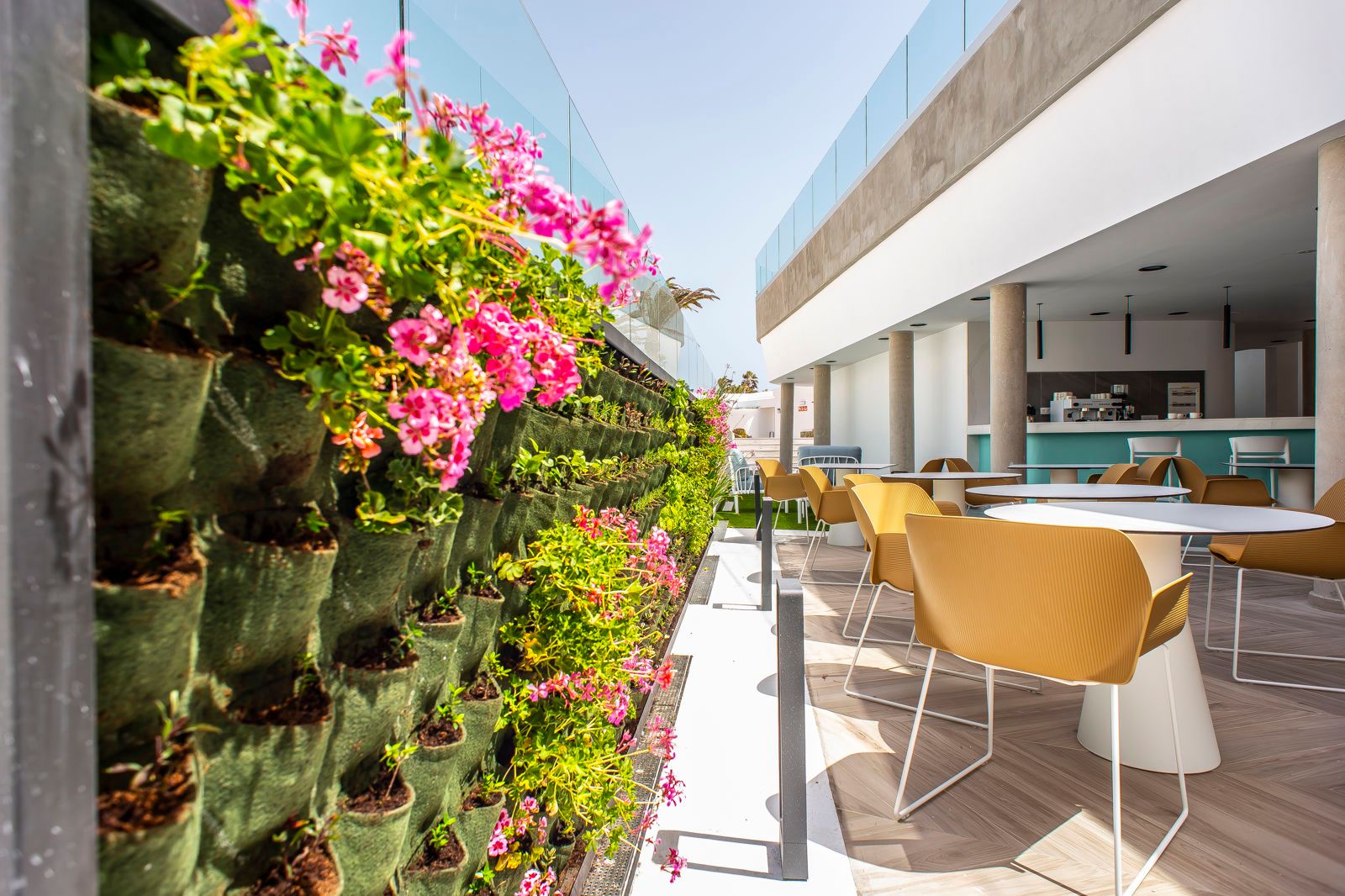 Hotel Taimar, foto 6