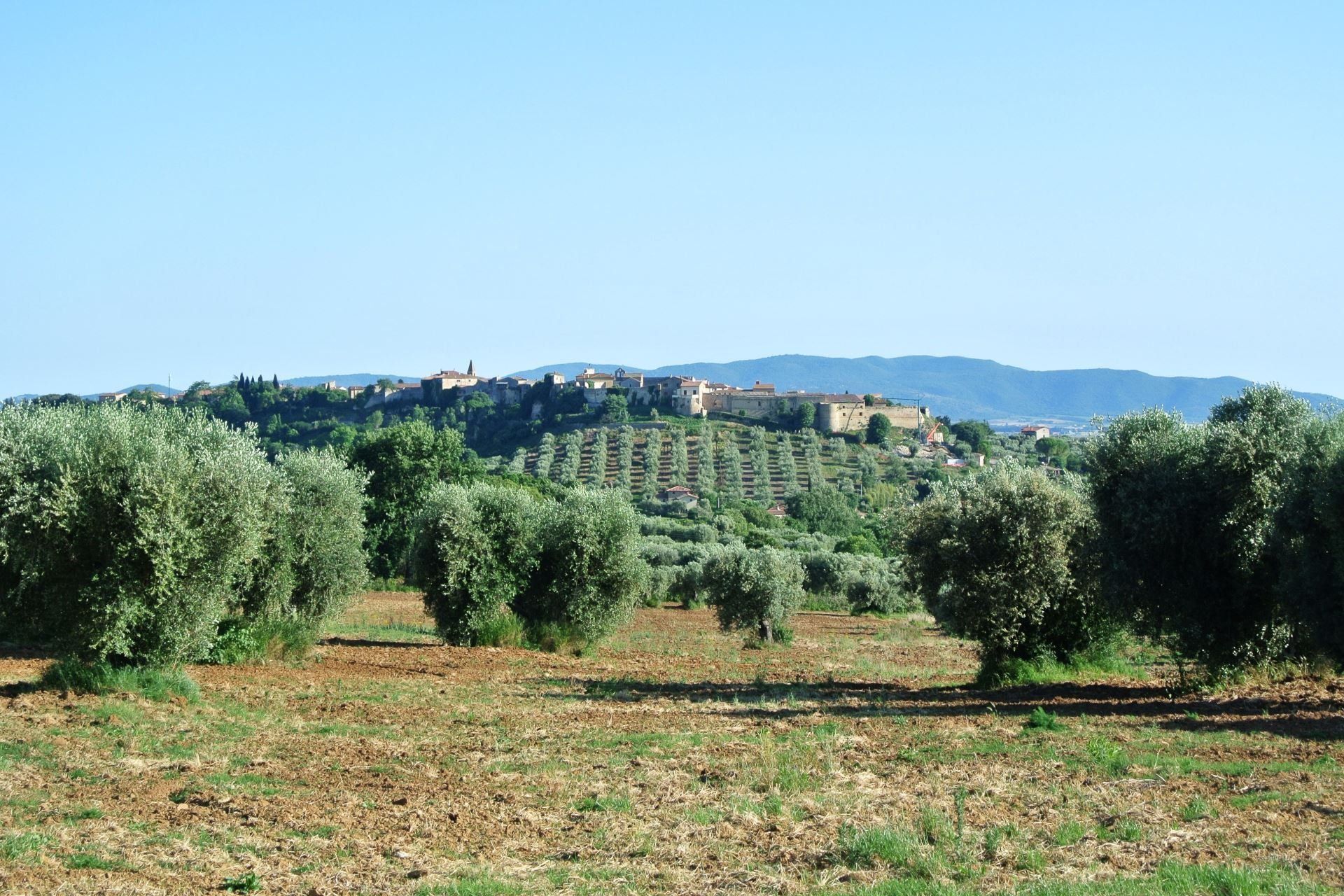Nonno Tobia, foto 3
