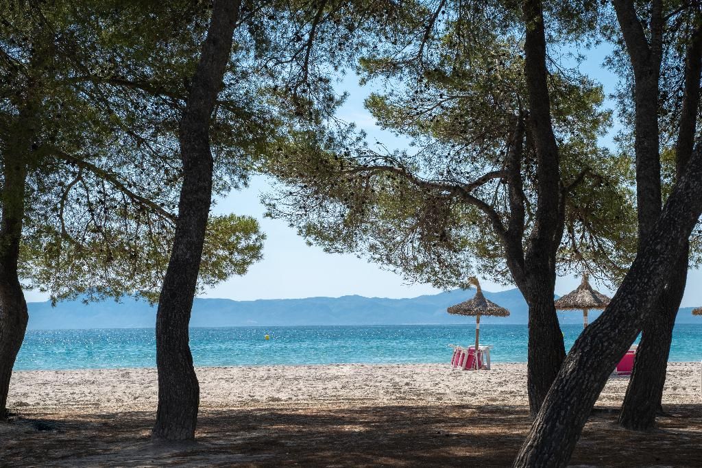 Caprice Playa de Alcudia, foto 6