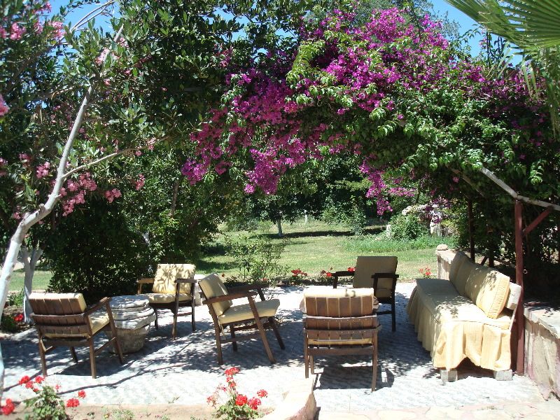 Neptün Hotel, foto 12