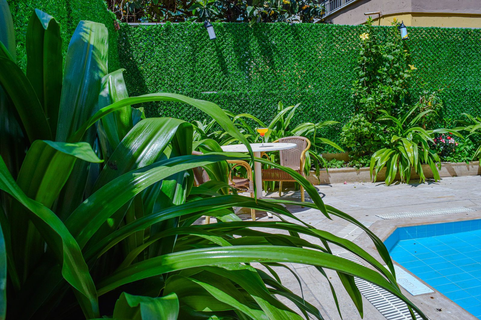 Alin Hotel, foto 15