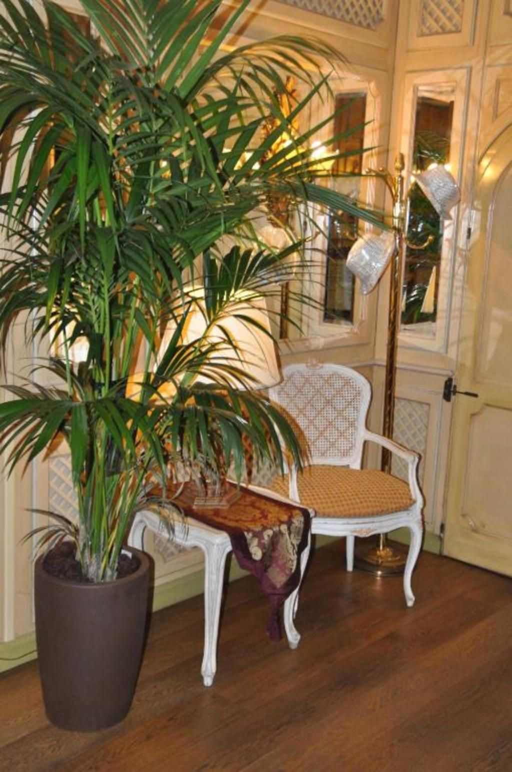 Villa Laguna, foto 15