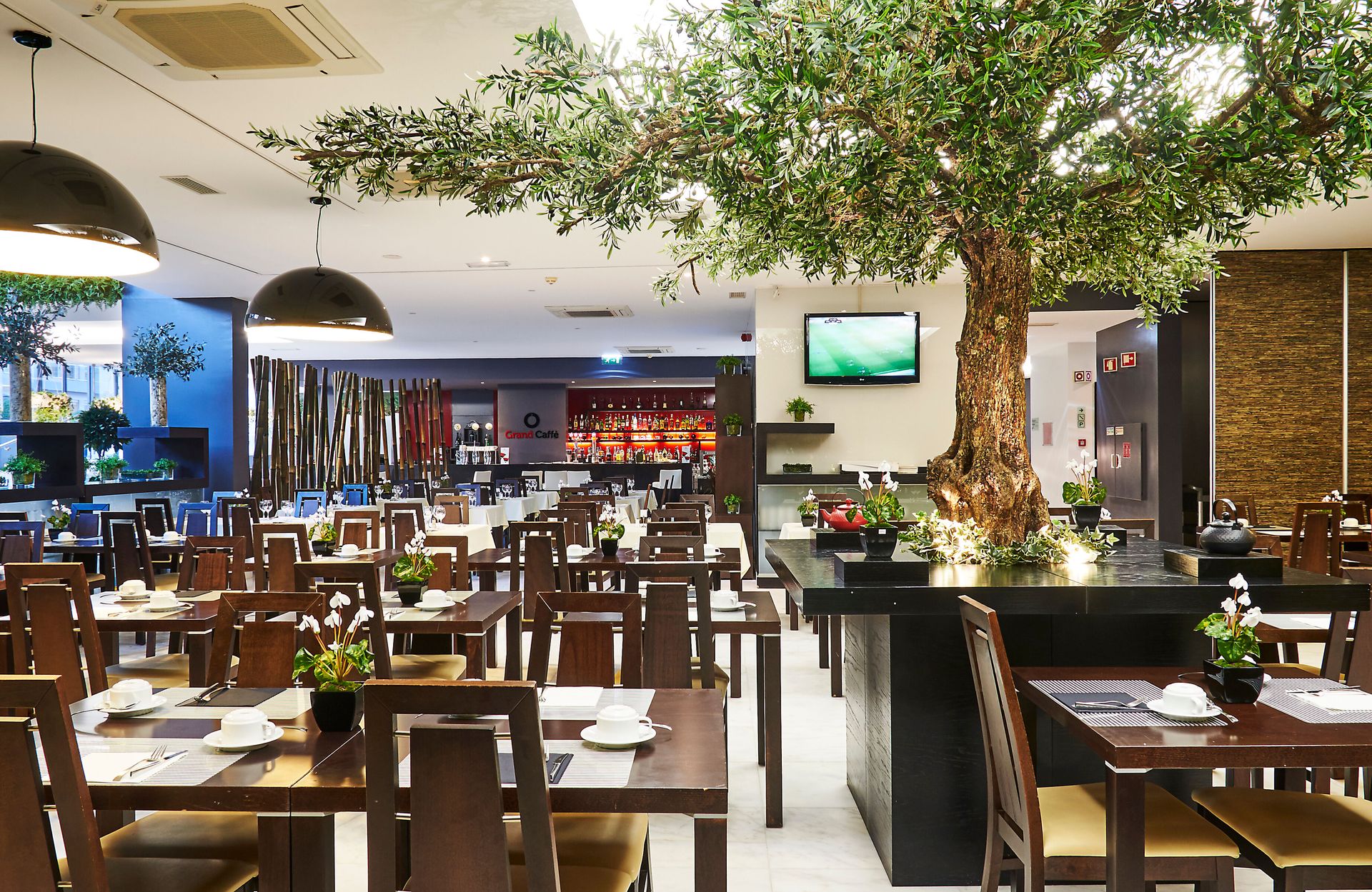 Aparthotel Da Rocha, foto 6