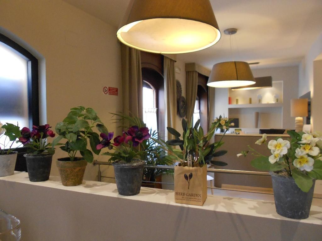 Ares Milan, foto 4