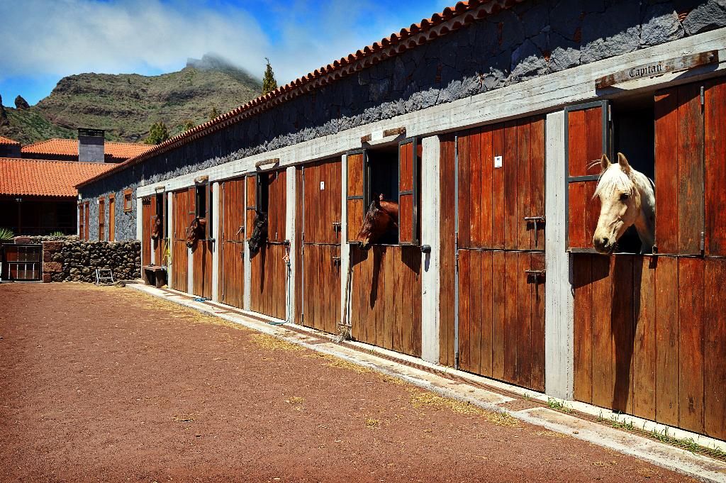 La Casona del Patio Hotel, foto 14