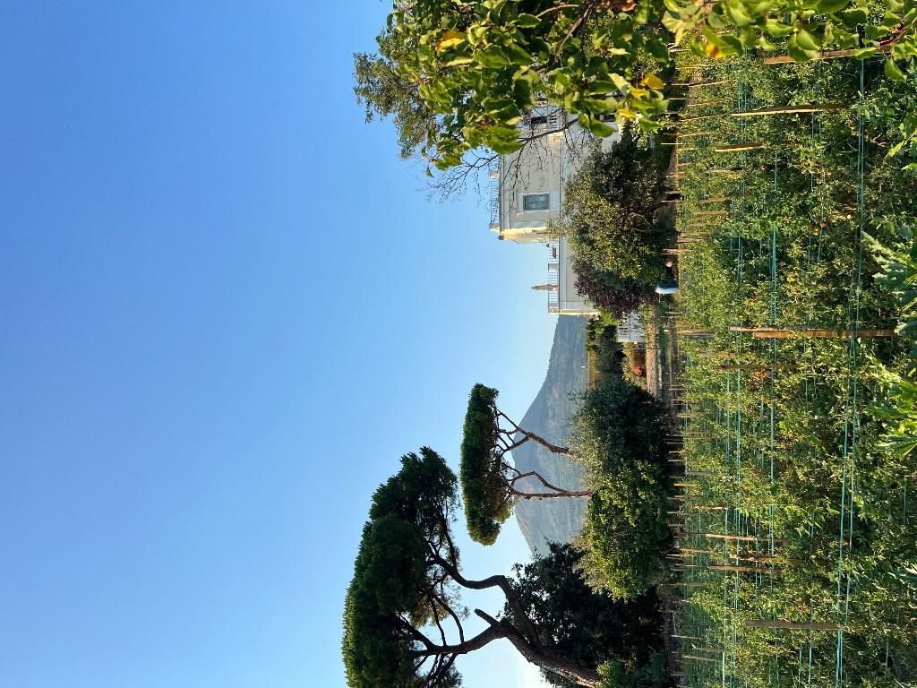 Villa Carafa De Cillis, foto 4