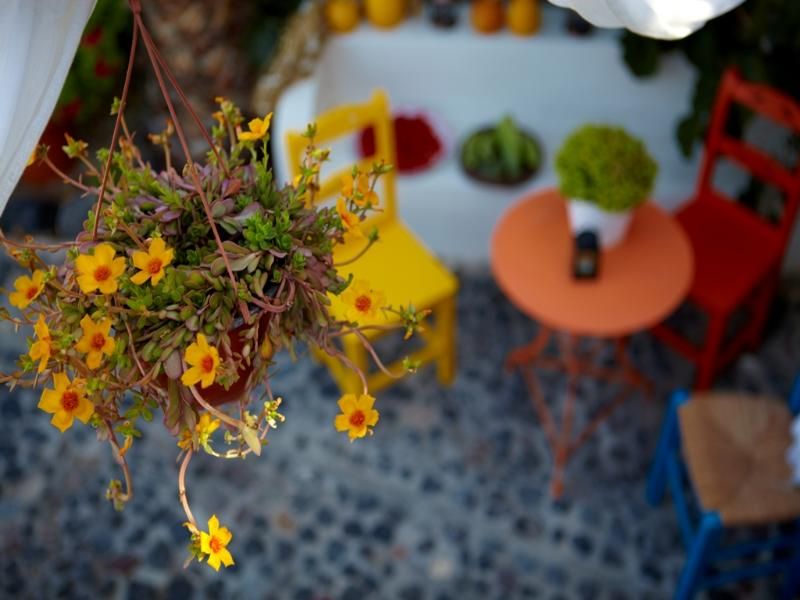 Anna Traditional Apartments, foto 4