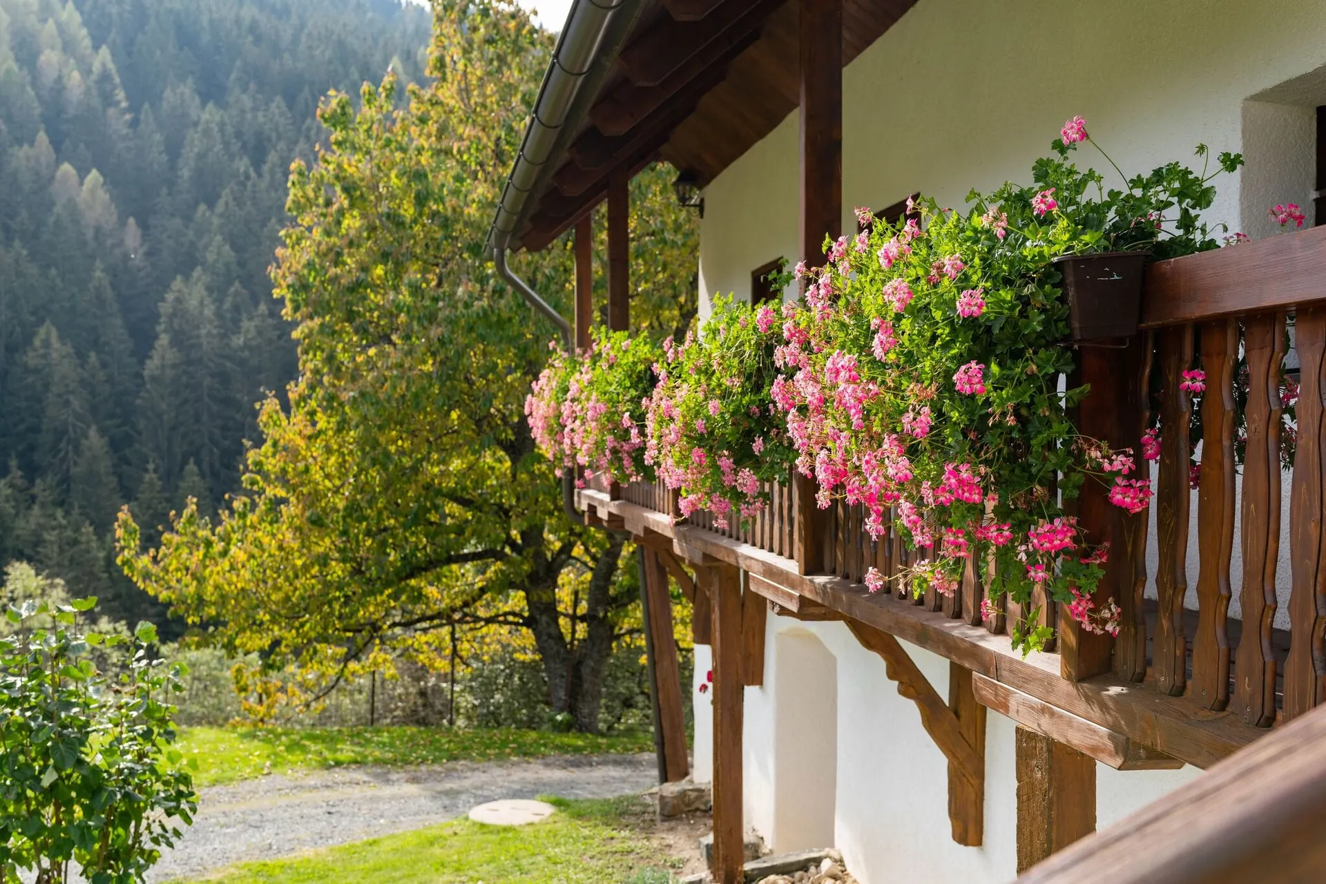 Terrasse / Balcon